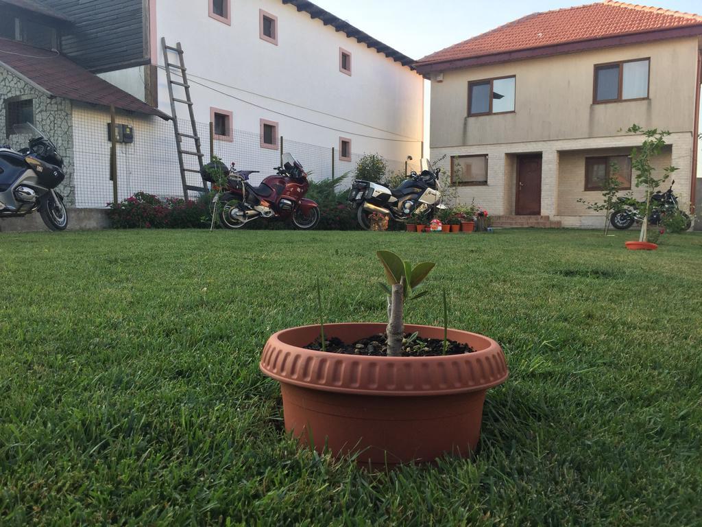 Casa Noastra Otel Vama Veche Dış mekan fotoğraf
